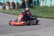20110501_ales_agnus (1963)